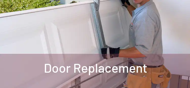  Door Replacement 