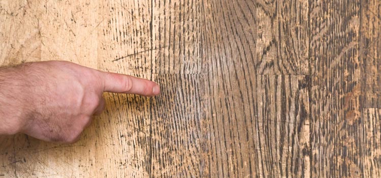 Wood Door Scratch Repair in Oakland